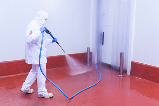 Best Oil Spill Cleanup  in Reinholds, PA